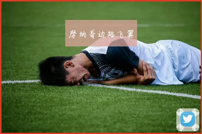 摩纳哥边路飞翼