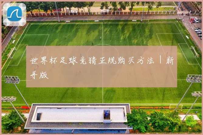 世界杯足球竞猜正规购买方法｜新手版