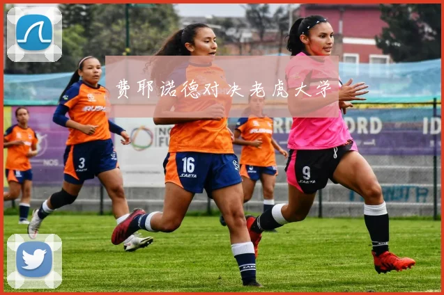 费耶诺德对决老虎大学