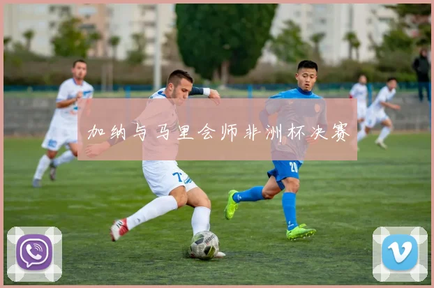 加纳与马里会师非洲杯决赛