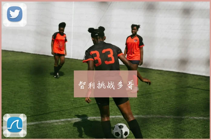 智利挑战多哥