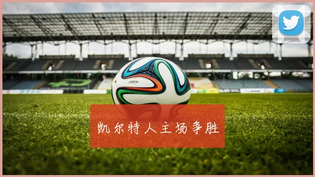 凯尔特人主场争胜