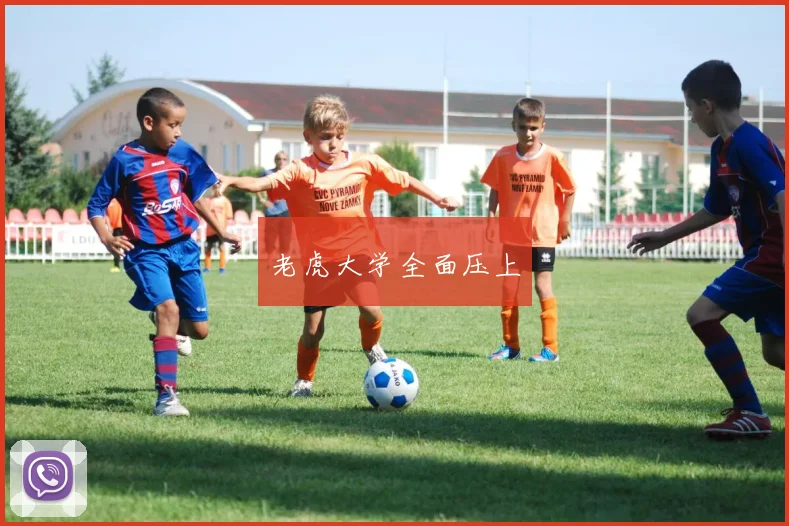 老虎大学全面压上
