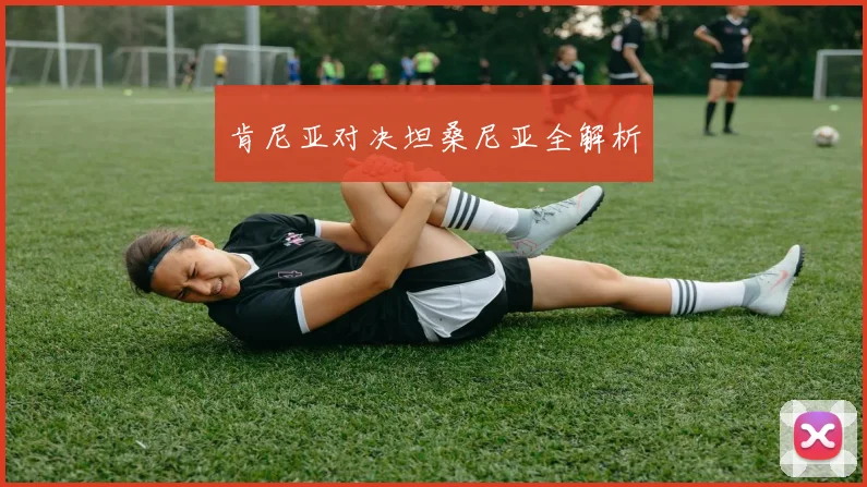 肯尼亚对决坦桑尼亚全解析
