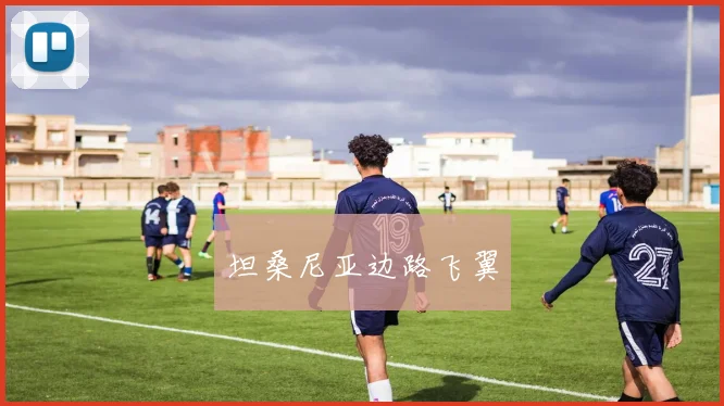 坦桑尼亚边路飞翼