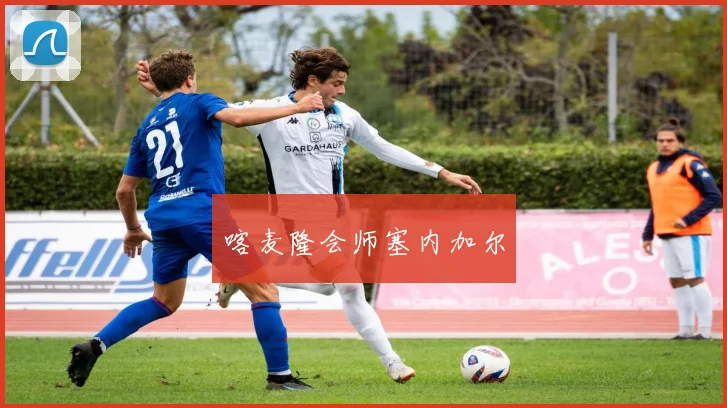 喀麦隆会师塞内加尔