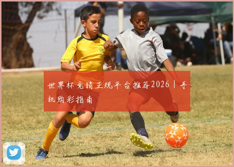 世界杯竞猜正规平台推荐2026｜手机购彩指南