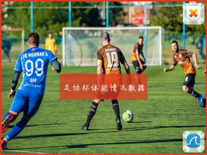 足协杯体能情况数据